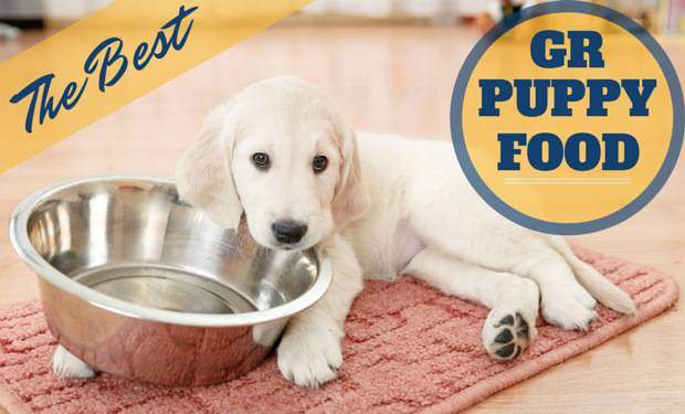 best puppy food for golden retrievers 2018