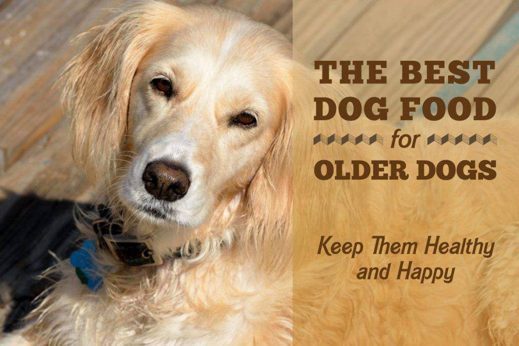 healthiest dog food for older dogs