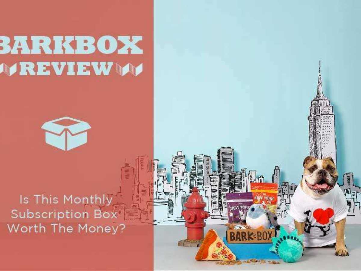 BarkBox 2024 Review by Totally Goldens Why it is worth to Try