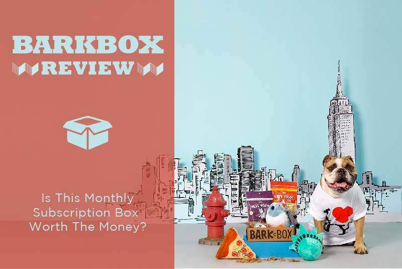 what is barkbox