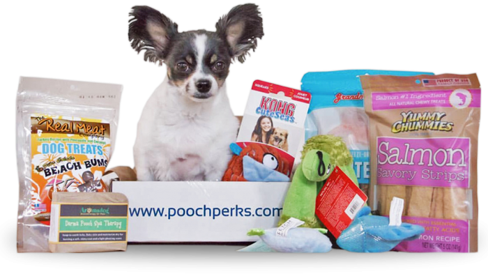 dog goodie boxes