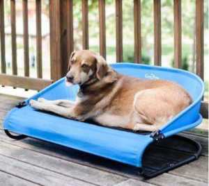air cooled dog bed