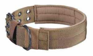 high quality dog collars and leads
