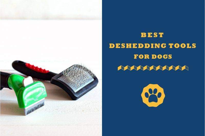 what is the best deshedding tool for dogs