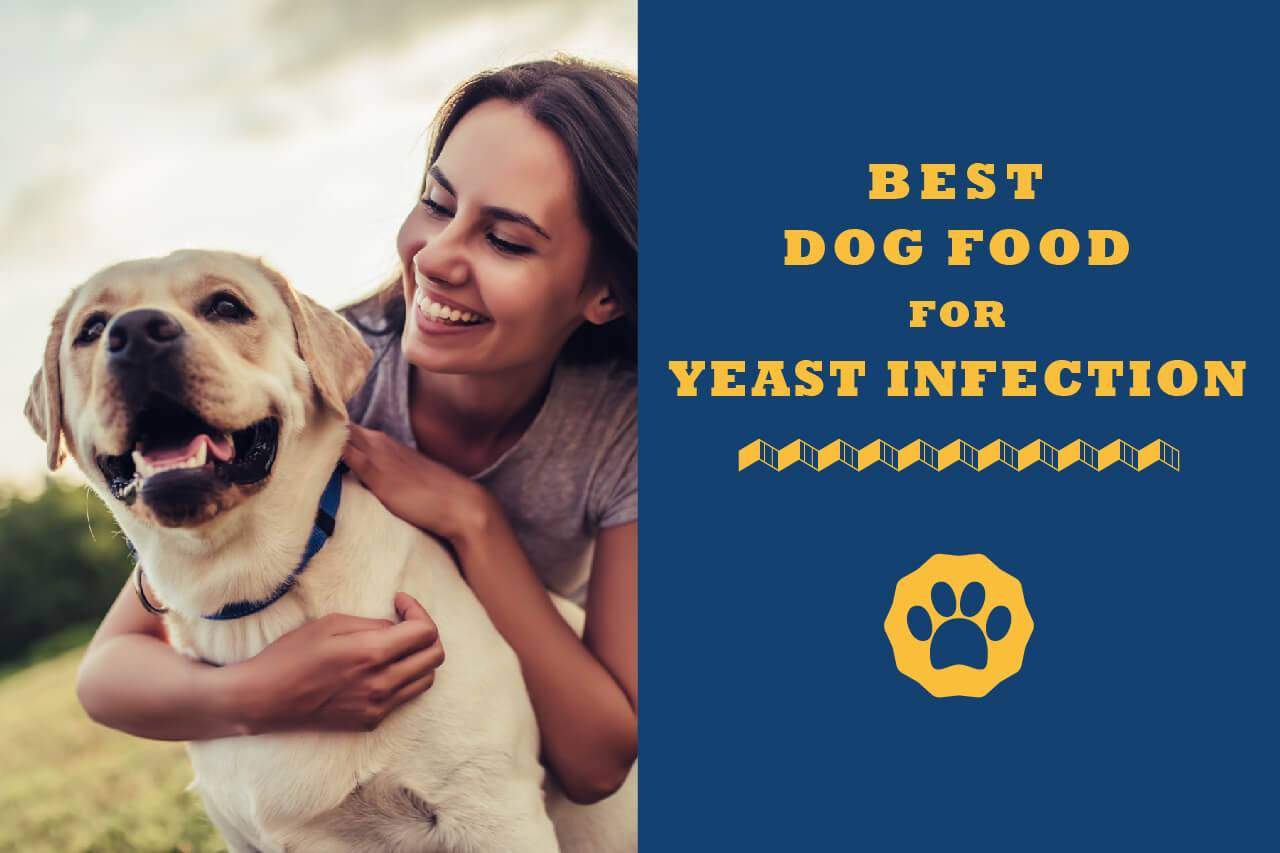 best dog food for allergies and yeast
