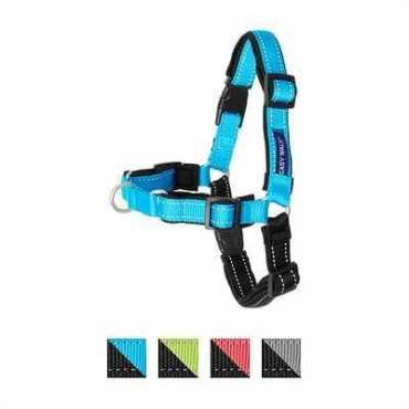 10 Best Harnesses For Golden Retriever In 2021 - Totally Goldens