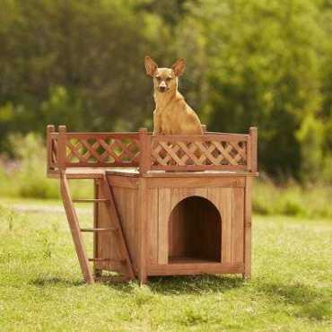 The Best Outdoor Dog Houses - Totally Goldens