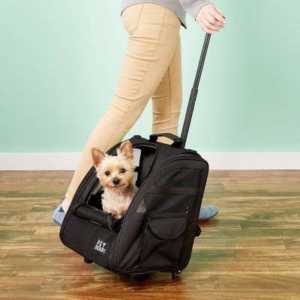 the best dog backpack carriers