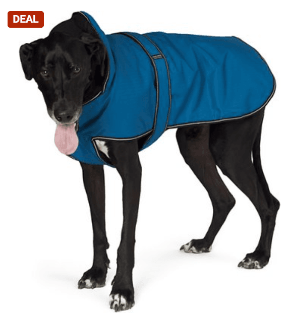 Top Winter Coats For Dogs - Benefits & Reviews- Totally Goldens