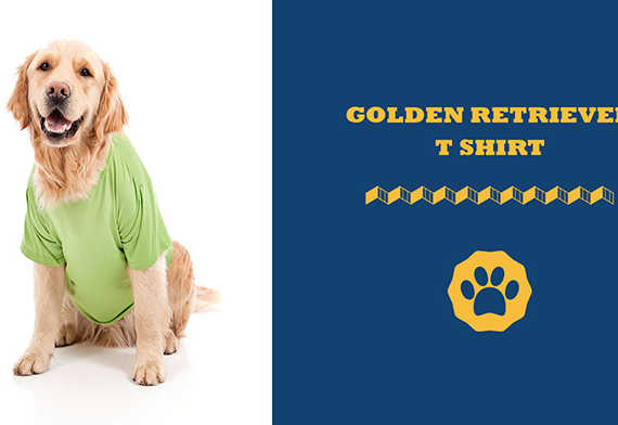 golden retriever t